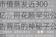 市值蒸发近300亿，同花顺罕见公告背后的神秘子公司