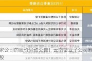 别人家公司的股价异动公告！云南锗业子公司筹划增资扩股