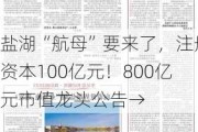 盐湖“航母”要来了，注册资本100亿元！800亿元市值龙头公告→