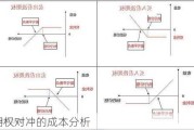 期权对冲的成本分析