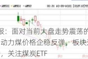 ETF日报：面对当前大盘走势震荡的市场环境，动力煤价格企稳反弹，板块进可攻、退可守，关注煤炭ETF