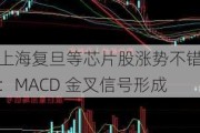 上海复旦等芯片股涨势不错：MACD 金叉信号形成