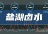 盐湖股份(000792.SZ)：向蓝科锂业销售卤水在2021-2022年为每立方成锂卤水2元