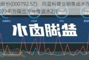 盐湖股份(000792.SZ)：向蓝科锂业销售卤水在2021-2022年为每立方成锂卤水2元