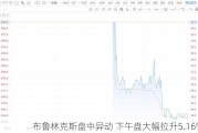 布鲁林克斯盘中异动 下午盘大幅拉升5.16%