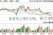 金龙羽上涨5.53%，报17.95元/股