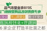 金堂：签约 26 家企业 打造羊肚菌之都