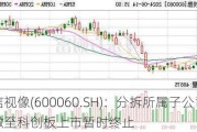 海信视像(600060.SH)：分拆所属子公司信芯微至科创板上市暂时终止