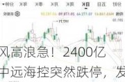 风高浪急！2400亿中远海控突然跌停，发生了什么？股民：一买就跌停，就差我这几百股吗...