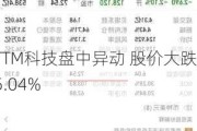 TTM科技盘中异动 股价大跌5.04%