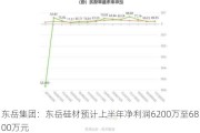 东岳集团：东岳硅材预计上半年净利润6200万至6800万元