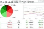 两市震荡反弹 半导体获主力资金增持！