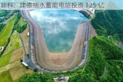 协鑫能科：建德抽水蓄能电站投资 125 亿