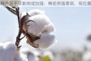 美棉产区干旱影响或加强：棉花供强需弱，低位震荡