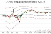 芯片股持续走强 台基股份等多股涨停