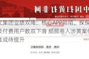 挚文集团业绩双降：核心APP陌陌、探探创收及付费用户数双下滑 频频卷入涉黄案件合规性或待提升