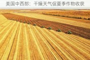 美国中西部：干燥天气促夏季作物收获