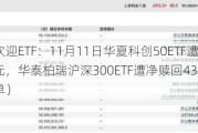 最不受欢迎ETF：11月11日华夏科创50ETF遭净赎回47.28亿元，华泰柏瑞沪深300ETF遭净赎回43.80亿元（名单）