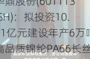 华鼎股份(601113.SH)：拟投资10.31亿元建设年产6万吨高品质锦纶PA66长丝项目