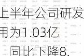 欧陆通：2024年上半年公司研发费用为1.03亿元，同比下降8.11%