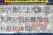 中汽协、上汽集团发声！回应欧盟反补贴税决定