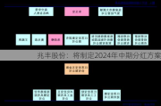 兆丰股份：将制定2024年中期分红方案