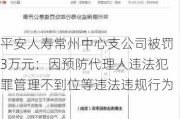 平安人寿常州中心支公司被罚3万元：因预防代理人违法犯罪管理不到位等违法违规行为