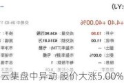 云集盘中异动 股价大涨5.00%