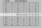 维特拉的轮胎尺寸型号是多少？