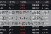 反攻来了！医药医疗午后崛起，主力火速回归，医疗ETF（512170）反弹超3%！泰格医药飙升逾9%强势领涨