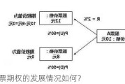 股票期权的发展情况如何？