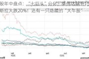 美股年中盘点：“七巨头”分化，英伟达飙升156%，特斯拉大跌20%！还有一只隐藏的“大牛股”