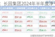 财报速递：长园集团2024年半年度净亏损4698.56万元