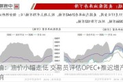 原油：油价小幅走低 交易员评估OPEC+推迟增产的影响