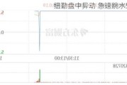 纽勤盘中异动 急速跳水5.03%