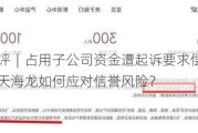 公司快评︱占用子公司资金遭起诉要求偿还3.38亿元，恒天海龙如何应对信誉风险？