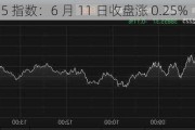 日经 225 指数：6 月 11 日收盘涨 0.25%