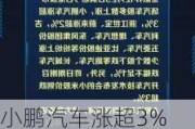 小鹏汽车涨超3% 联席总裁预计公司将在2025年晚些时候实现盈亏平衡