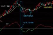 紫光国微（002049）：MACD指标DIF线上穿0轴-技术指标上后市看多（06-17）