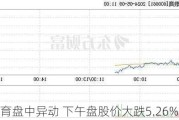 大地教育盘中异动 下午盘股价大跌5.26%