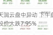 天润云盘中异动 下午盘股价大跌7.95%