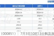 ST高鸿（000851）：7月3日10时13分触及涨停板