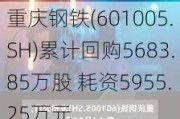 重庆钢铁(601005.SH)累计回购5683.85万股 耗资5955.25万元