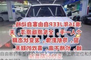 自由客的车型评价如何？它在市场上的定位和竞争力如何？