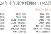 百龙创园：2024年半年度净利润约1.14亿元，同比增加25.29%