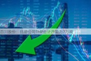 百川股份：目前公司TMP合计产能为7万吨