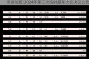 高澜股份:2024年第三次临时股东大会决议公告