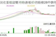 *ST中润收重组监管问询函 股价已连续28个跌停