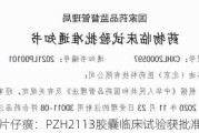 片仔癀：PZH2113胶囊临床试验获批准