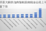 全球最大铜供应商智利国家铜业公司上半年产量下降